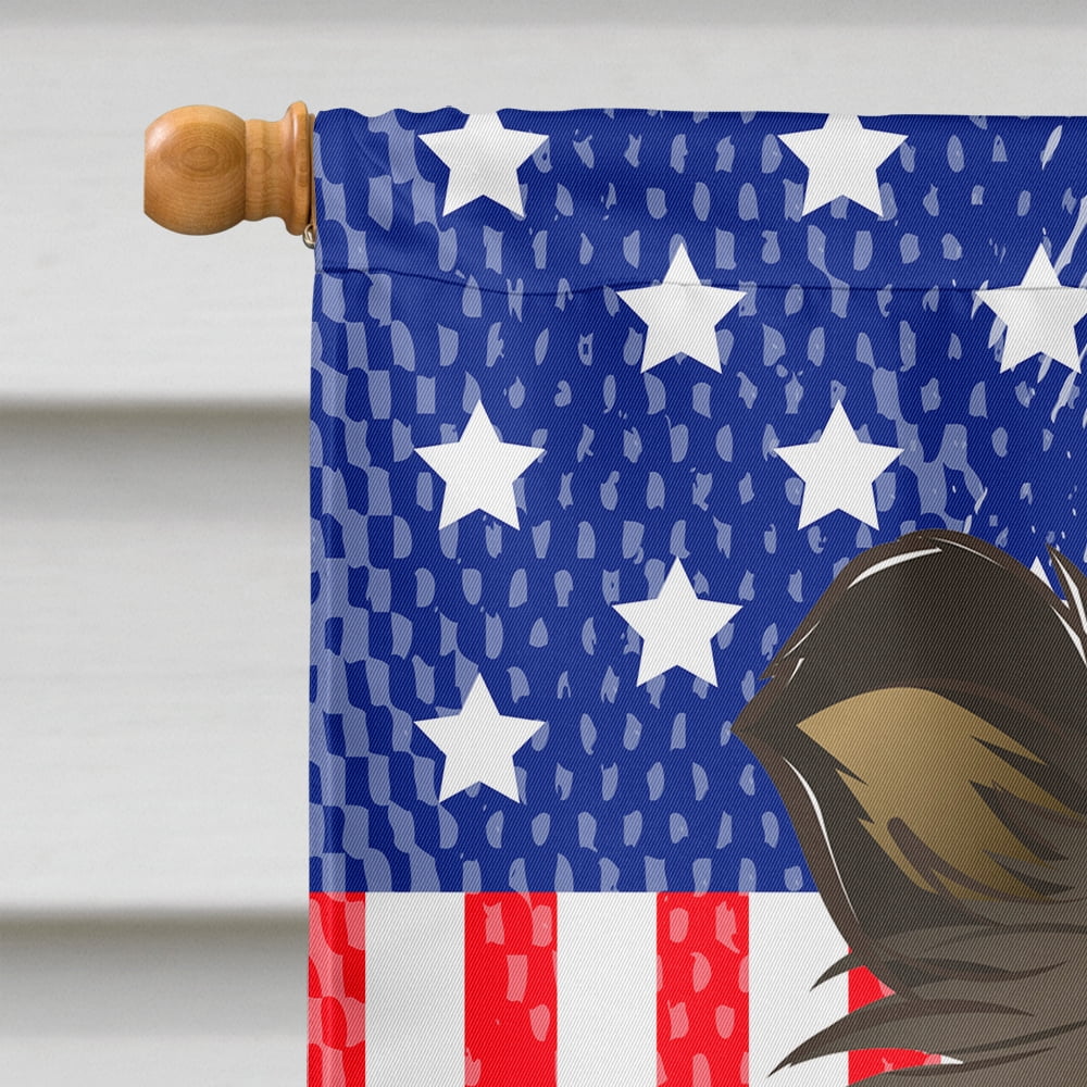 Caroline's Treasures BB2172CHF God Bless American Flag with Sheltie Flag Canvas House Size , Large, multicolor