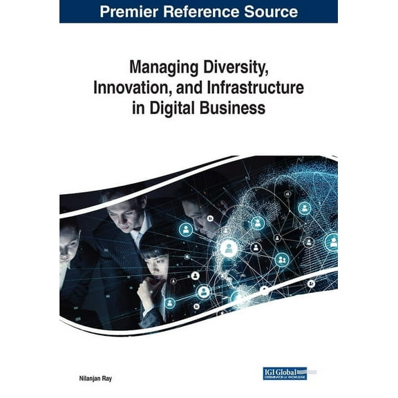 Managing Diversity, Innovation, and Infrastructure in Digital Business (Paperback)