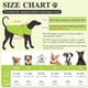 thumbnail image 4 of Chubasquero para perros VIVAGLORY para perros grandes, chaleco reflectante de seguridad, 4 of 7