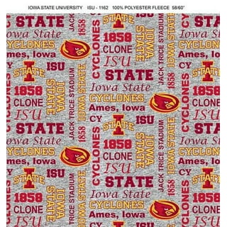 Vinyl Motorcycle Garage Mat - Iowa State University