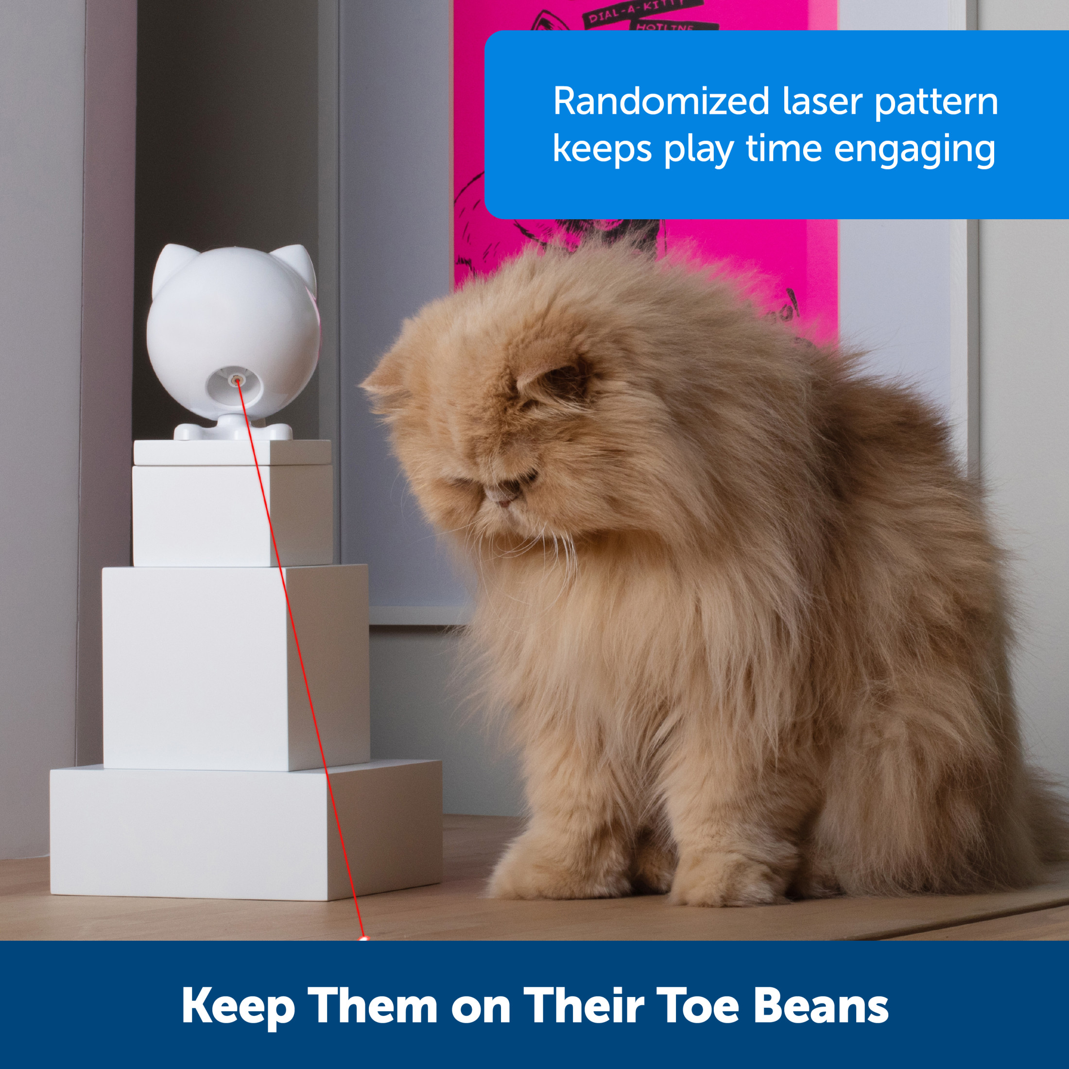 PetSafe Dancing Dot Laser Cat Toy photo 6