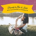 thumbnail image 7 of Natural Balance Pet Foods Rewards Jumpin' Stix Dog Treats Venison, 10 oz, 7 of 7