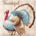 thumbnail image 6 of Mainstays 16" x 16" Reversible Decorative Outdoor Throw Pillow, Turkey, 6 of 9