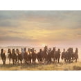 thumbnail image 2 of PHBurchett   18x15 White Modern Wood Framed Museum Art Print Titled - Horse Motion I, 2 of 4