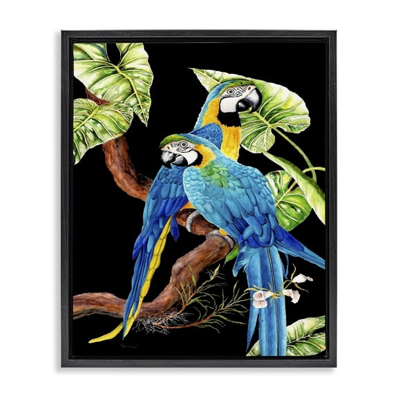 Stupell Industries Traditional Parrots Perched on Branch Black Floating Frame Canvas Art, 17 x 21, by Christine Reichow
