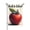 G10, variant on Back To School Banner Flag Apple School First Day Double-side 12.5x18 Inch Garden Flag Decor 1 Flag