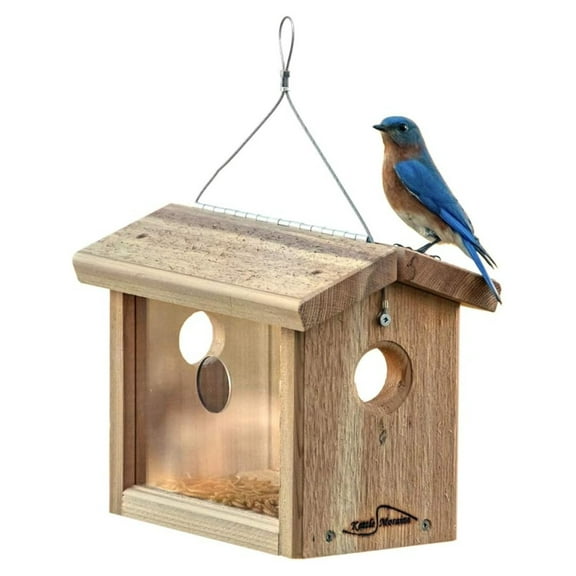 Cedar Bluebird Feeder - Hanging Mealworm Feeder for Bluebirds - Solid Cedar Construction with Stainless Steel - Easy Fill Hinged Roof - Made in USA
