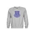 thumbnail image 2 of Youth-1863FC  Heather Gray Everton Pullover Crewneck Sweatshirt, 2 of 3