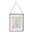 thumbnail image 3 of Melrose Reed Plants Framed Wall Art - 12.5" x 16" - Set of 2, 3 of 3