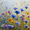Cornflower, variant on Cornflower and Daisy Floral Landscape Canvas Print, Wall Art for Living Room Bedroom Dining Room Bathroom Kitchen Office Hallway