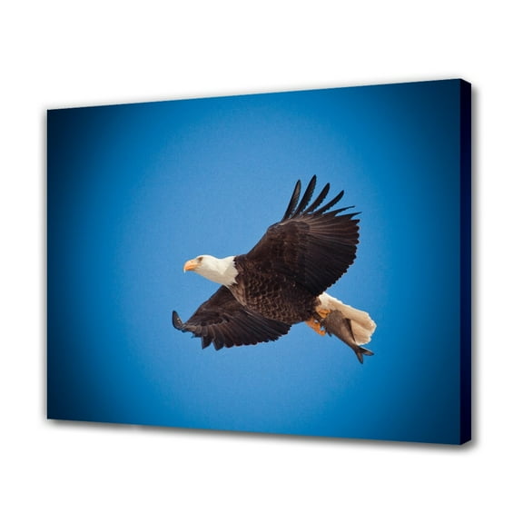 Bald Eagle Canvas Poster Bedroom Decor Sports Landscape Office Room Decor Gift,Frame-style,08x12inch(20x30cm)