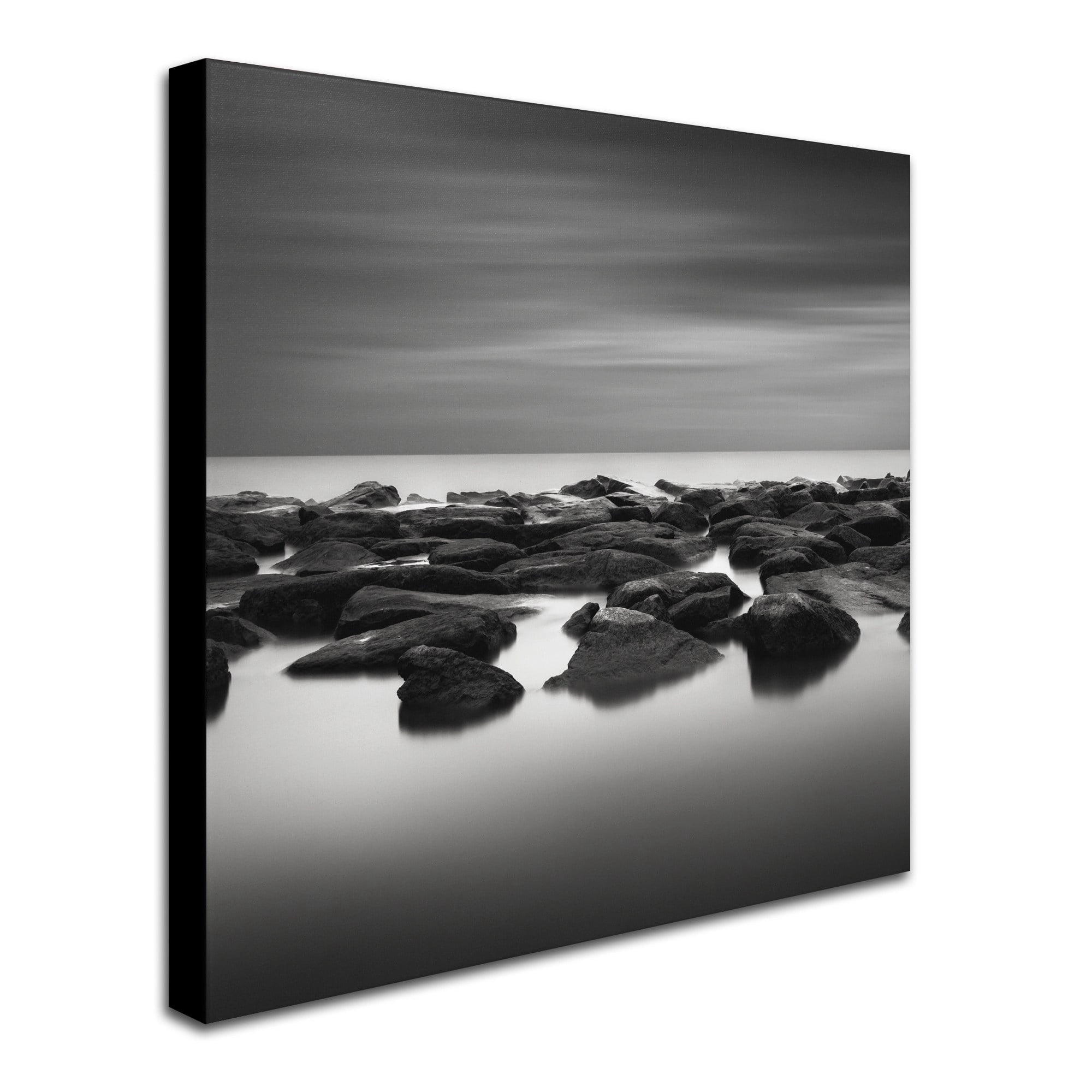 Trademark Fine Art "High Tide" Canvas Art by Dave MacVicar