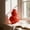 Red, variant on cpengpj Sophisticated Gourd-Shaped Glass Vase, Premium Clear Finish, for Home Living Room Office Classic Floral Decor, 1 Piece