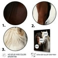 thumbnail image 3 of Designart "Dynamic Equine Duo White and Brown Horse I" Animals Floater Framed Canvas Wall Art, 3 of 7
