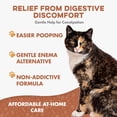 thumbnail image 3 of BestLife4Pets - Cat Laxative Constipation Relief and Stool Softeners - Digestive Health Supplement for Gas Relief and Constipation - Natural Laxative for Cats, 3 of 9