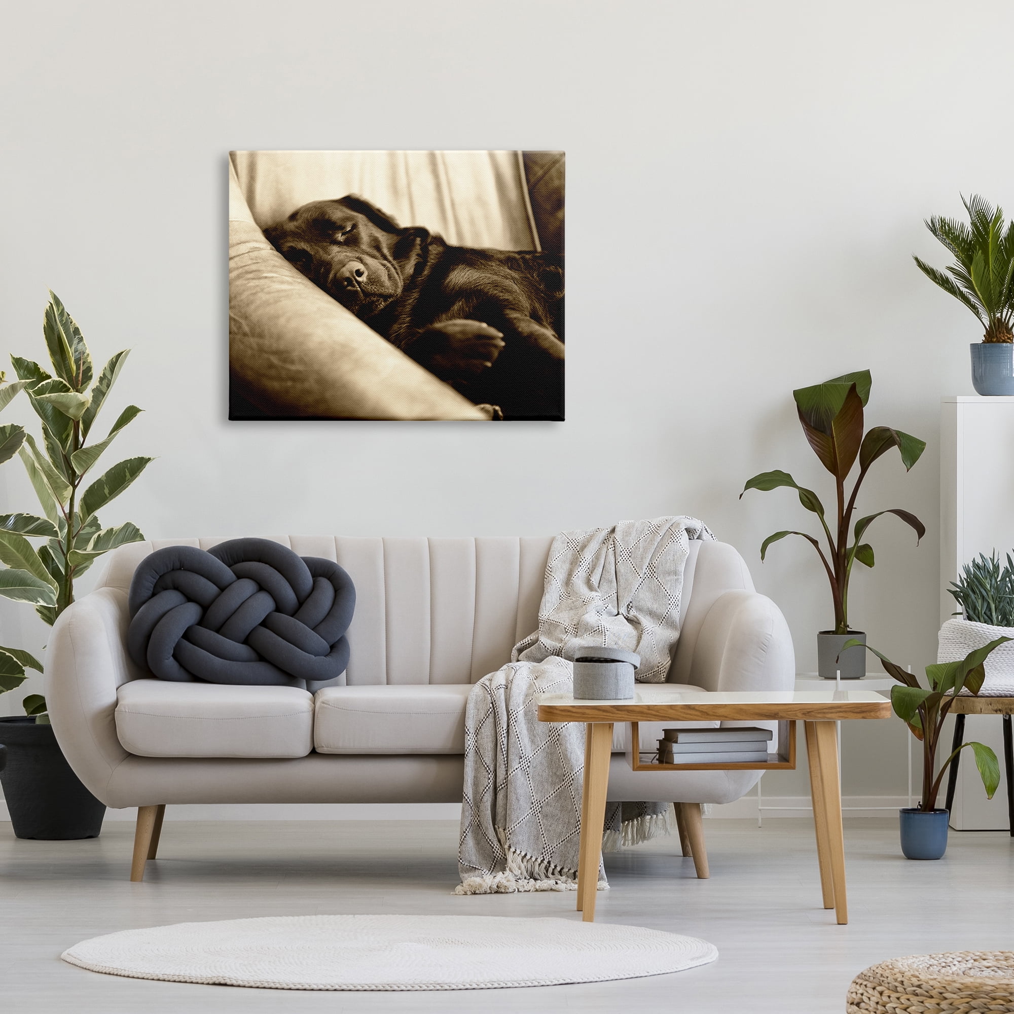 Stupell Industries Cuddling Labrador Dog Sleeping Cozy Sepia Photography Photograph Gallery Wrapped Canvas Print Wall Art, Design by James Dobson