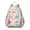 Cute Dinosaur Pattern, variant on Cute Dinosaur Pattern Backpack for School,Cute School Bag,Schoolbag with Adjustable Shoulder Straps & Padded Back,13.4"x11"x4.7"