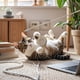 thumbnail image 3 of Juguete interactivo para gatos con plumas y palo de madera. Estimula los instintos naturales., 3 of 3