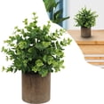 thumbnail image 2 of HCTSHG Indoor Artificial Tea In Pot Green Color Green Plant Potting Semi Spherical Pulp Bonsai Home Desk Decoration Artificial Potted Plant for Bathroom, House Decorations, 2 of 8