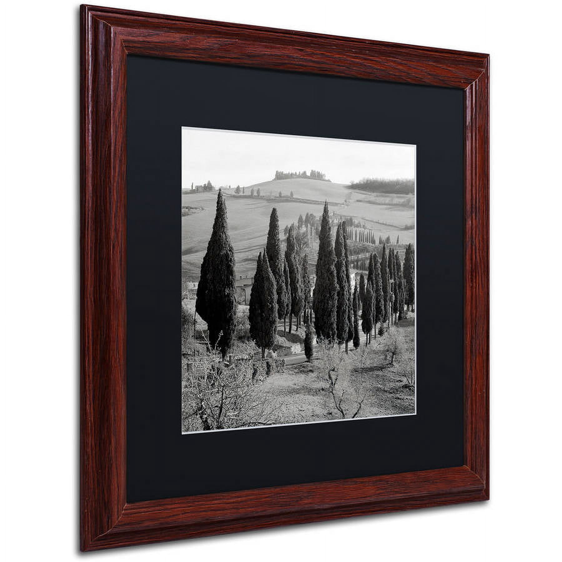 Trademark Fine Art "Tuscany IV" Canvas Art by Alan Blaustein, Black Matte, Wood Frame