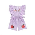 thumbnail image 1 of Newborn Baby Girls Flower Stripe Ruffle Romper Embroidery Jumpsuit Clothes Summer 6M-5Y, 1 of 5