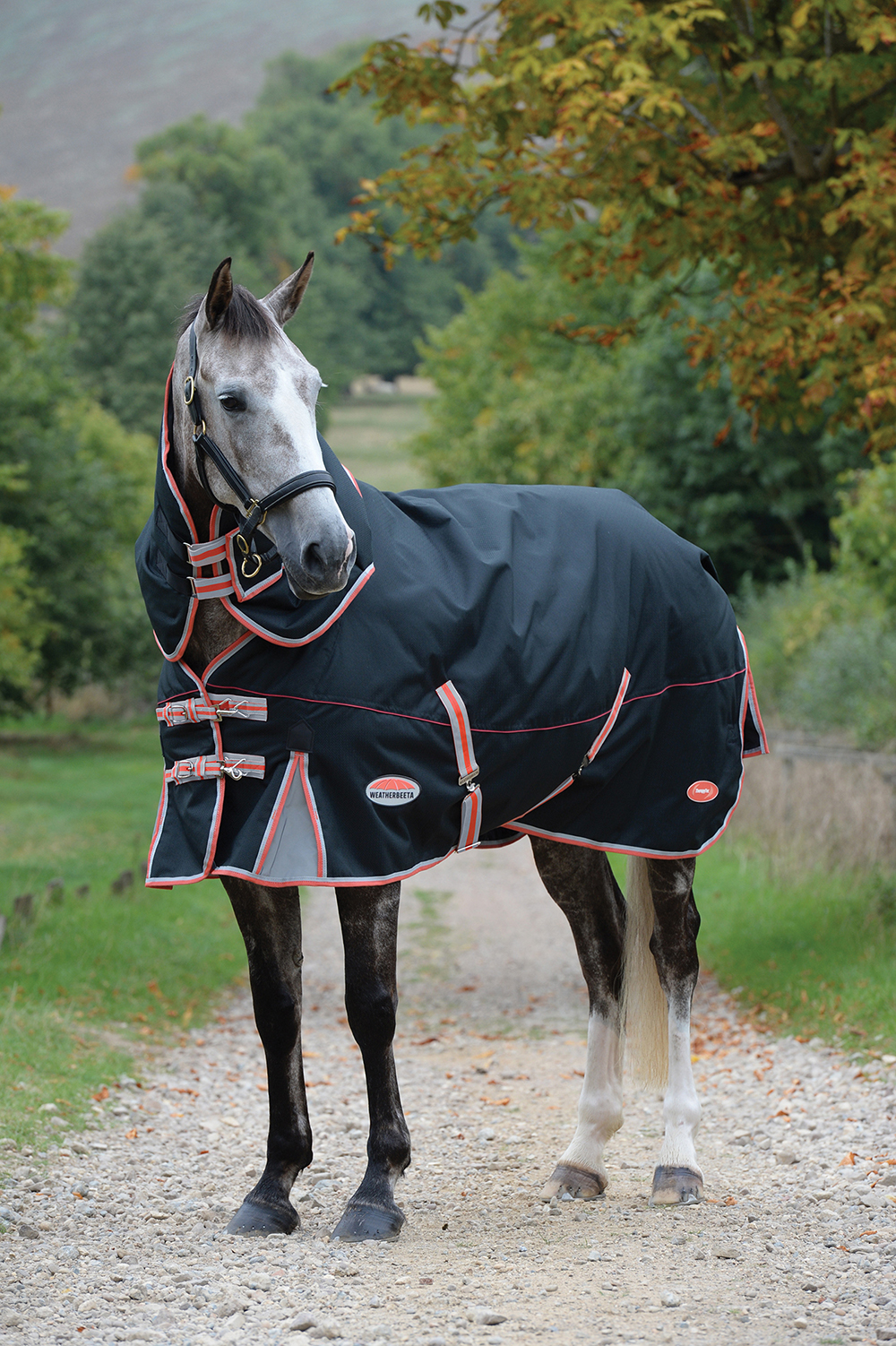 WeatherBeeta ComFITec Premier w/TherapyTec DetachaNeck Horse Blanket