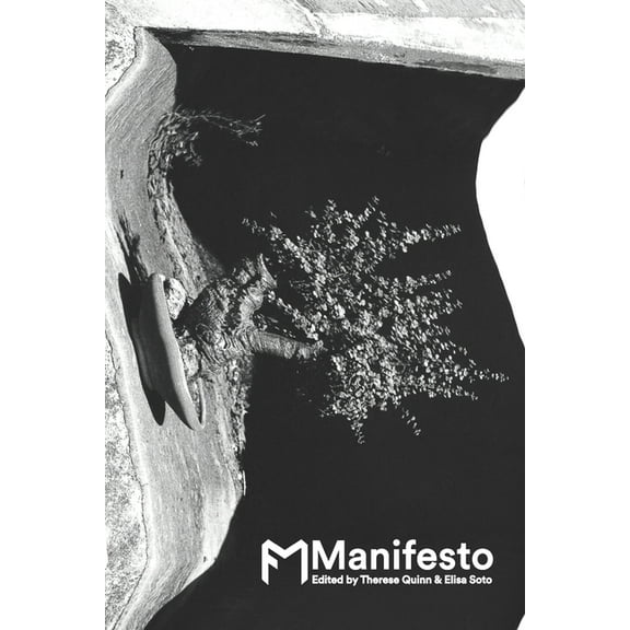 Fwd: Museums Fwd: Museums: Manifesto, Book 7, (Paperback)