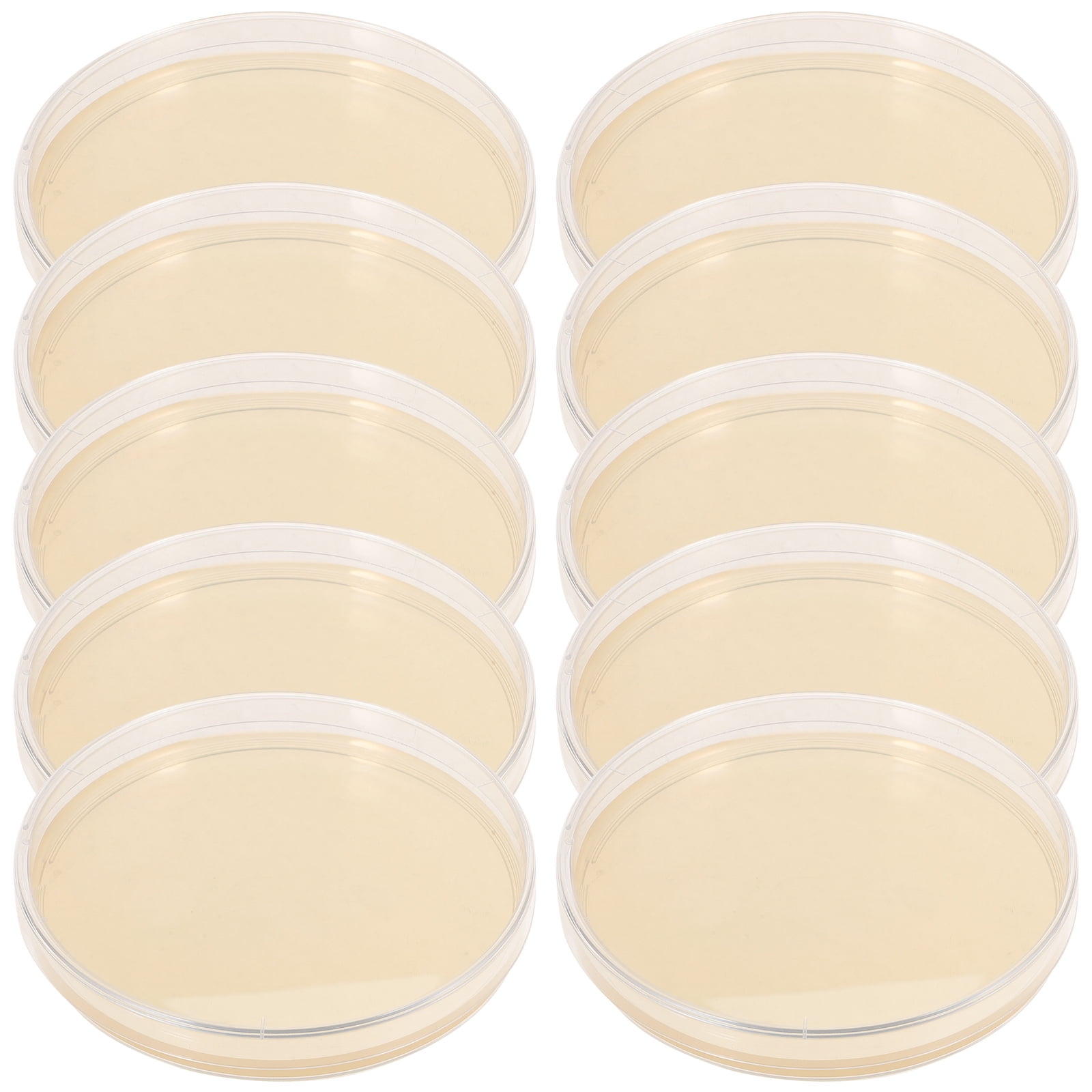 NUOLUX 10pcs Agar Plates Portable Prepoured Agar Petri Dishes Science