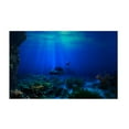 thumbnail image 1 of Fondo engomada del Acuario Zulema 3D decoración del papel Acuario Póster, 1 of 8