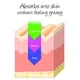 thumbnail image 5 of Deluvia Miracle Aloe Cream, Hidratante De Aloe Vera Para Rostro Y Cuerpo, Crema Solar Calmante De Aloe, Loción De Aloe Vera, Crema De Aloe Y Humectante Facial, Loción De Aloe Vera Y Vitamina E, Paquet, 5 of 9