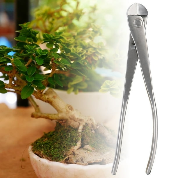 Tijeras de podar de jardín de acero inoxidable con borde redondo de 210 mm, cortador de poda de jardín, solución innovadora