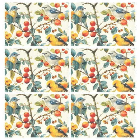 

Ryvnso Placemats Set of 6 Summer Birds and Flower Dining Mats Heat-Resistant Non-Slip Washable Table Mat