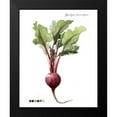 thumbnail image 2 of Popp, Grace 15x18 Black Modern Framed Museum Art Print Titled - Root Vegetable II, 2 of 5