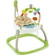 thumbnail image 1 of Silla Saltarina Fisher-Price Amigos de la Naturaleza, 1 of 3