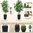 thumbnail image 4 of Ciervo volador artificial con forma de árbol de dracaena de 6 pies con maceta negra alta, 4 of 6