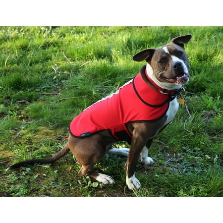 UPC: 0700755527066 | Healers Red Soft Shell Fleece-Back LED Dog Jacket  Small
