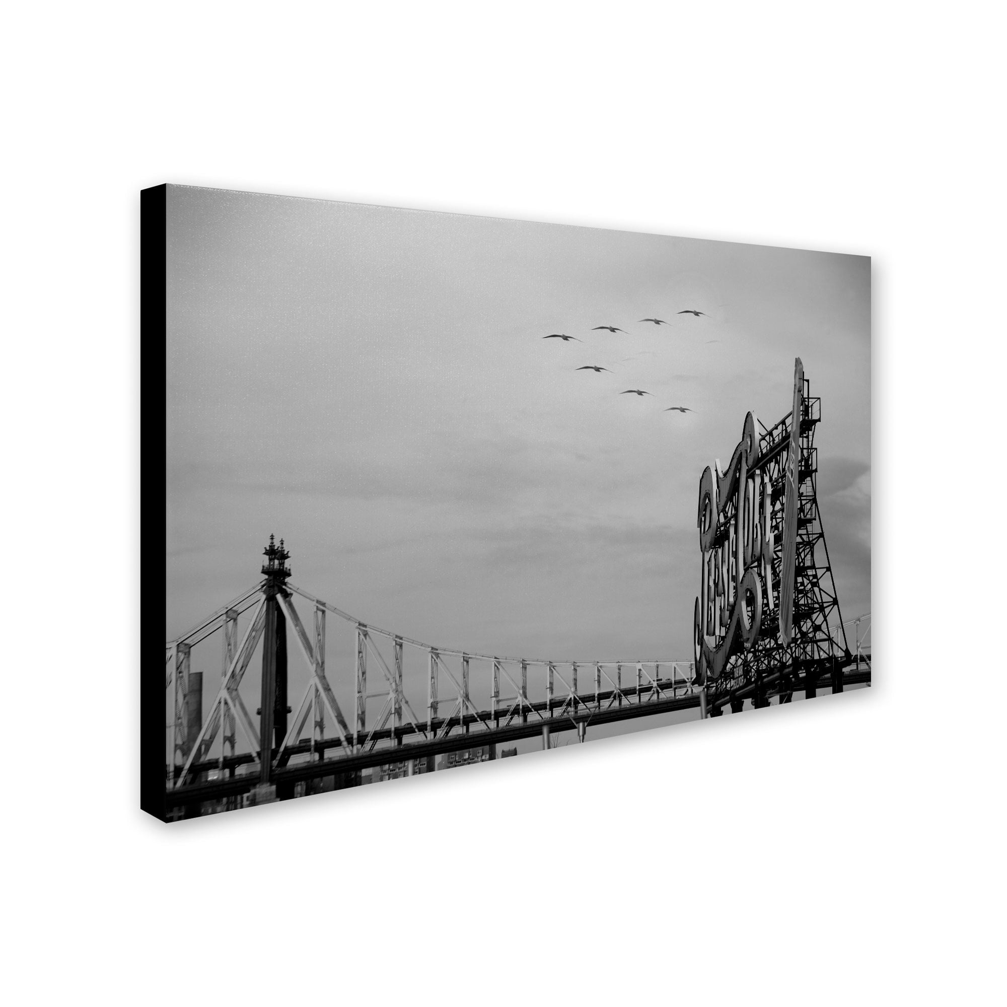 Trademark Fine Art Landscapes Canvas Art ' Pepsi Birds ' by Yale Gurney