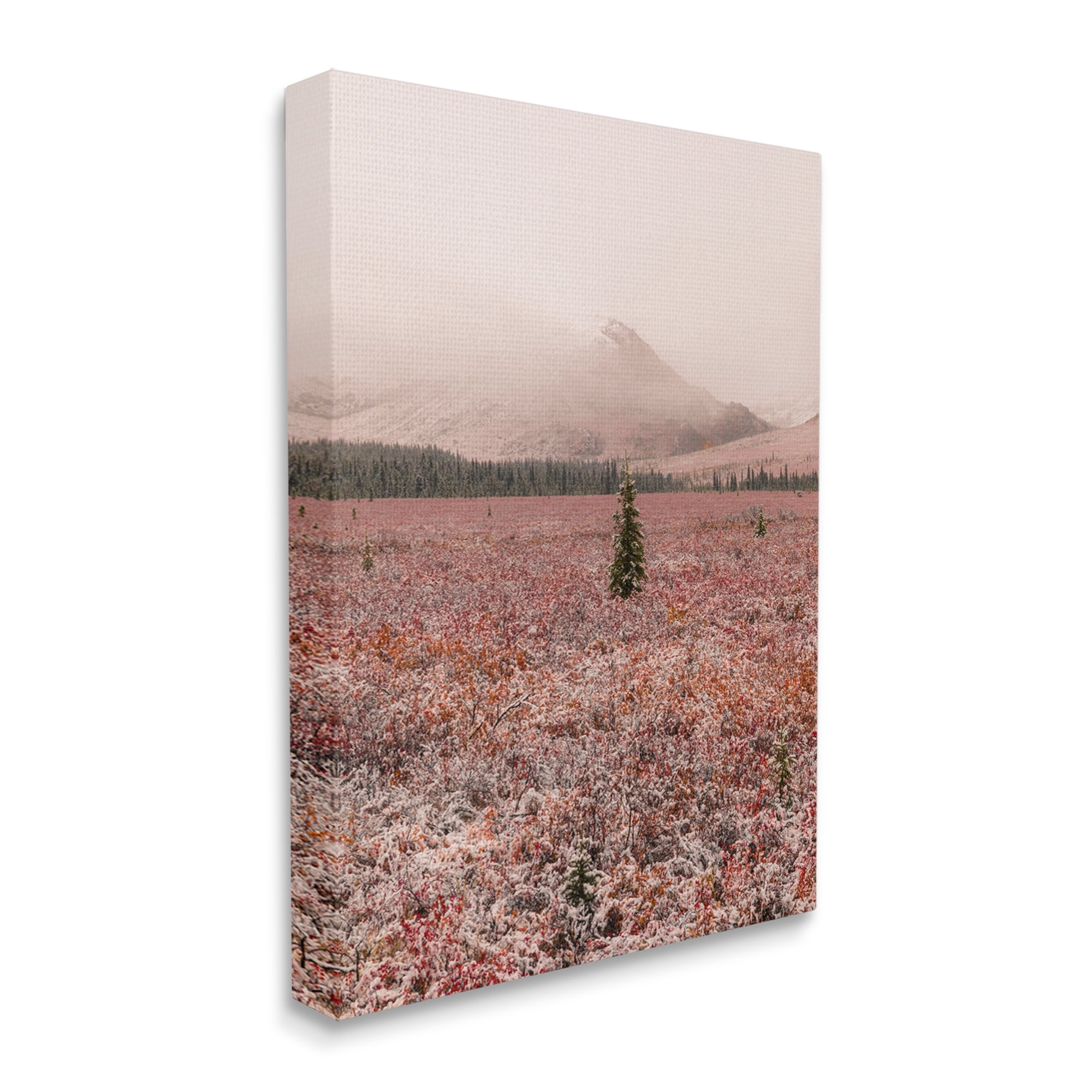 Stupell Industries Tree in Foggy Landscape Landscape Photography Gallery Wrapped Canvas Art Print Wall Art, 36 x 48