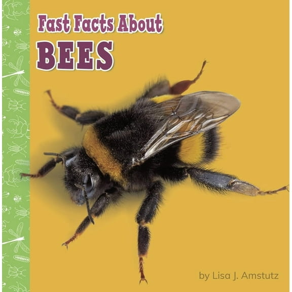 Fast Facts about Bugs & Spiders Fast Facts about Bees, (Paperback)