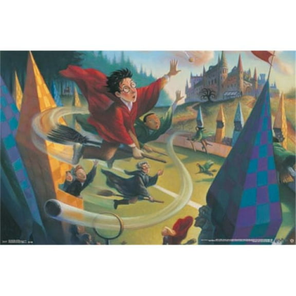 Harry Potter - Quidditch Poster Print - 22 x 34 in.