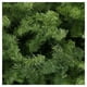 thumbnail image 2 of Árbol de Navidad Naviplastic Boston color Verde de 190 cm, 2 of 3