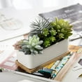 thumbnail image 5 of MyGift Artificial Succulents in Ceramic Pot with Bamboo Tray, 5 of 7