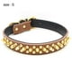 thumbnail image 2 of Collar de cuero para perros con púas doradas, para evitar que el perro sea atrapado por perros más grandes., 2 of 5