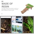 thumbnail image 4 of Plateforme d'Élevage de Tortues en Résine pour Aquarium, Réservoir pour Reptiles, Terrasse, 4 of 8