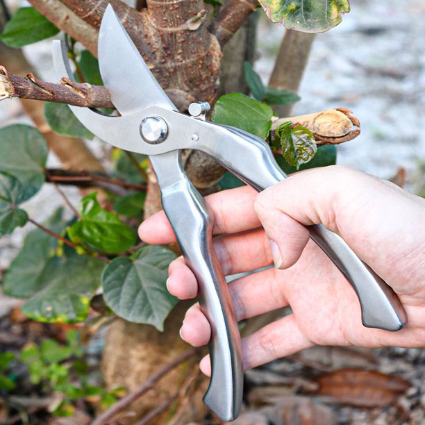 Tijeras de podar de jardín | Cuchillas de acero inoxidable | Podadoras de derivación de mano | Mango ergonómico antideslizante | Mecanismo de bloqueo seguro | 8.46 pulgadas | para Flores, Hierbas
