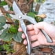 thumbnail image 1 of Tijeras de podar de jardín | Cuchillas de acero inoxidable | Podadoras de derivación de mano | Mango ergonómico antideslizante | Mecanismo de bloqueo seguro | 8.46 pulgadas | para Flores, Hierbas, 1 of 8