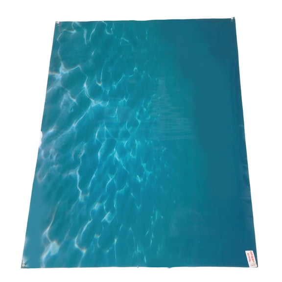 <span Style="background:red"></span> Fish Tank Backdrop, Fade Resistant PVC Poster For Stunning Underwater Decoration