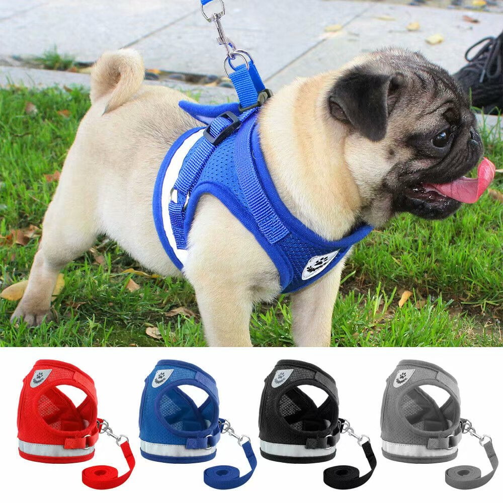 Adjustable Dog Harness & Leash Set for Small Dogs – Comfortable & Safe Walking Gear
