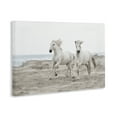 thumbnail image 3 of Stupell Industries Beach Running Horses Canvas Wall Art, design by Danita Delimont, 20 x 30, 3 of 7