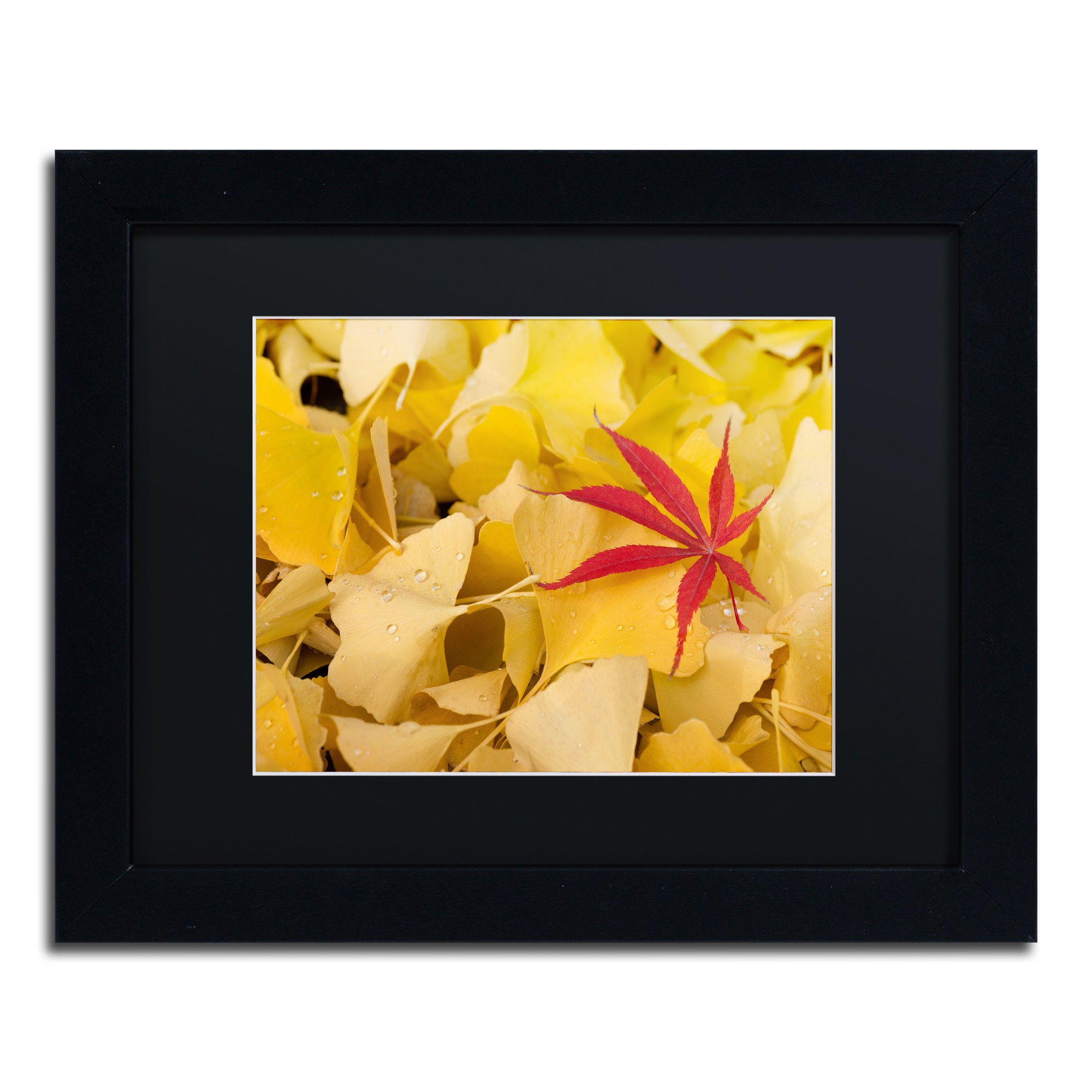 Trademark Fine Art "The Intruder" Canvas Art by Philippe Sainte-Laudy Black Matte, Black Frame